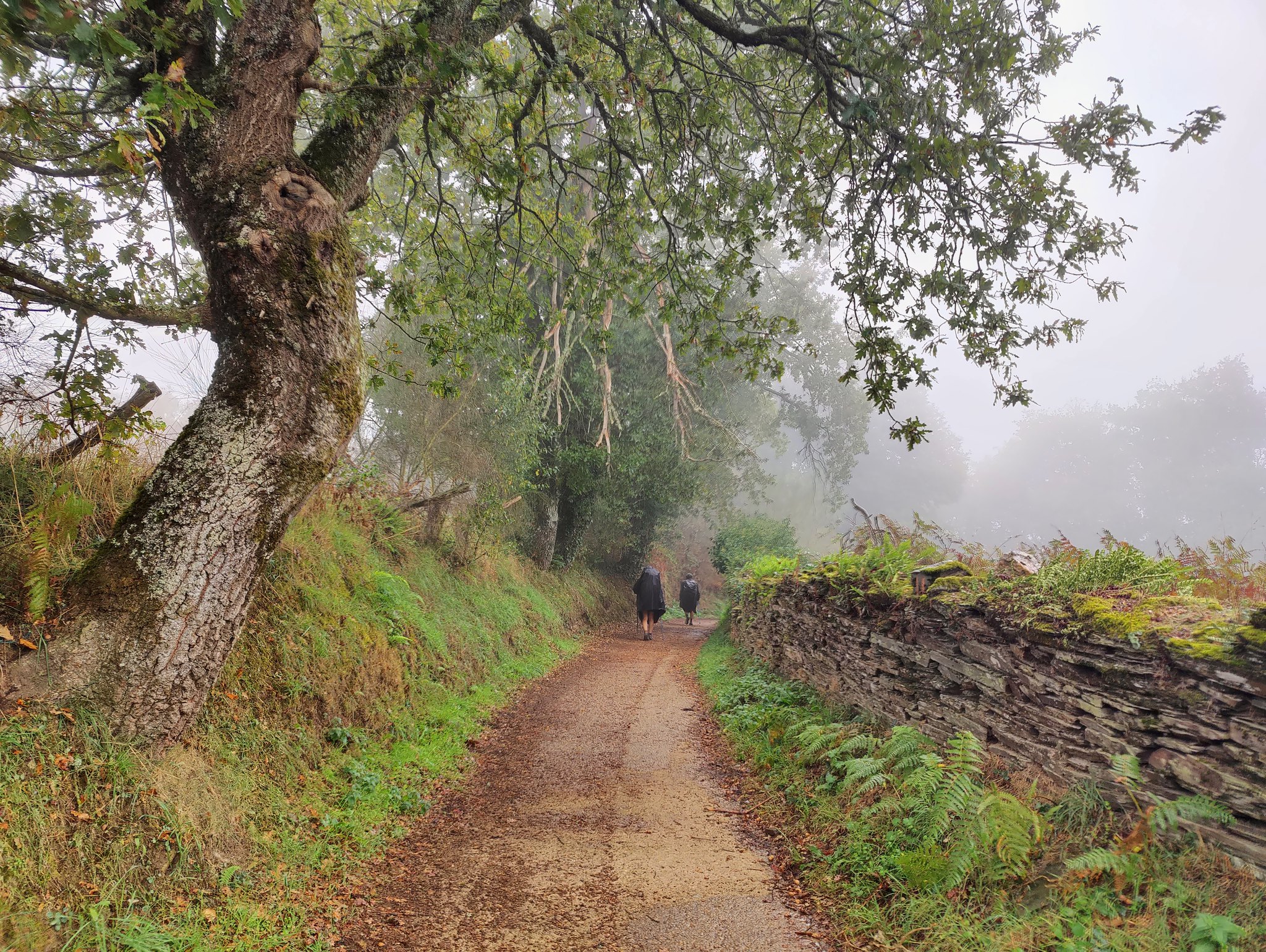 santiago-de-compostelan-pyhiinvaellus-osa-2-viikko-camino-francesilla